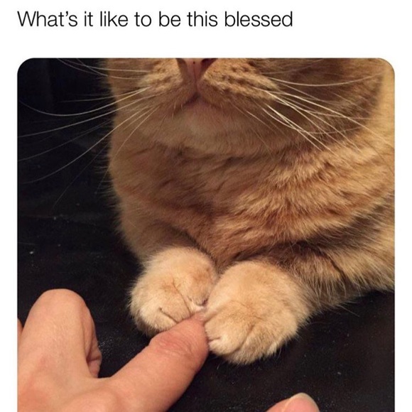 🌺🌸🌼Welcome!🌼🌸🌺 - Picture 2 of 3